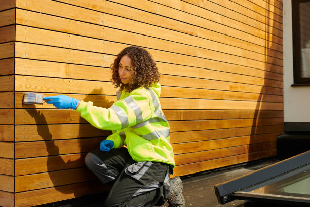 Best Brick Veneer Siding  in Sunrise Manor, NV